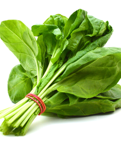 VIETNAM FRESH <b>BABY</b> SPINACH – HIGH QUALITY, CLEAN & SAFE, READY FOR EXPORT - Product Image 6