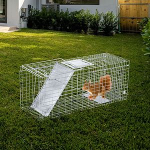 Trappola Pieghevole Robusta da 32 Pollici in Argento per Animali Vivi, Gatti e Procioni, con Maniglia - Strumento per il Controllo dei Parassiti - Product Image 5