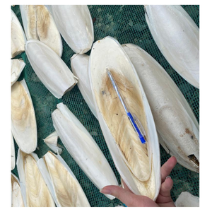 [MEJOR VENTA] |   Hueso de Sepia Crudo, Suplemento de Calcio para Aves y Tortugas de Blue Lotus Vietnam - Product Image 1