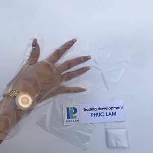 Guantes DE SEGURIDAD desechables PE, 2 uds., certificado CE ISO EN374, plegados en una bolsa con cremallera, populares para uso diario, fabricados en Vietnam - Product Image 1