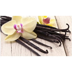 <b>Vanilla</b> <b>beans</b> bulk shipment export quality packaging for supermarkets grocery chains and wholesale spice traders - Product Image 5