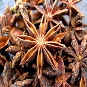 Anís estrellado, flor de anís, especias de Vietnam, anís estrellado de otoño, cosecha de primavera, Tu Quy Canh, anís - Product Image 1