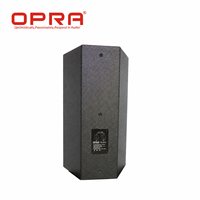 Altavoz PA Pasivo Profesional de 12 Pulgadas - Sonido Potente y Nítido para Escenarios, DJ y Eventos en Vivo
