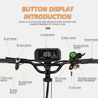 Scooter électrique tout-terrain à deux roues, pliable et à deux moteurs de 8000W, avec pneus de 13 pouces
