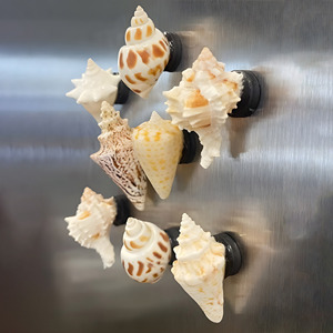 Imanes decorativos para refrigerador con diseño de conchas marinas, en oferta a precio económico, decoración para cocina. - Product Image 4