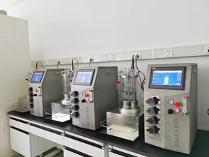 Biorreactor de laboratorio Bailun 5L, agitación magnética, cultivo de grado farmacéutico, síntesis biológica, fermentación, - Product Image 6