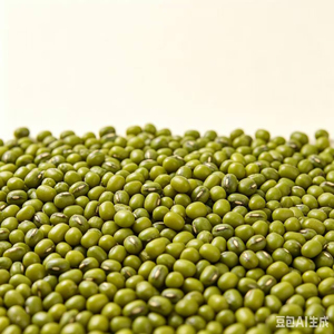 Fabrication certifiée qualité usine Haricots verts surgelés IQF - Product Image 6