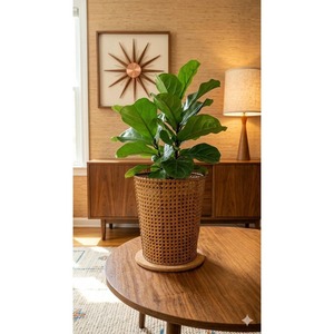 Soporte de lujo para macetas de ratán, ideal para decoración de plantas en mesas, estantes y esquinas en hogares modernos. Venta al por mayor desde India. - Product Image 1