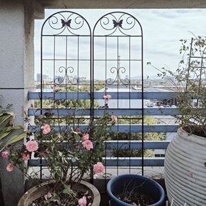 Set di 2 tralicci da giardino in metallo neri antiruggine da 180 cm x 50 cm per piante rampicanti, supporto per fiori da esterno - Product Image 3
