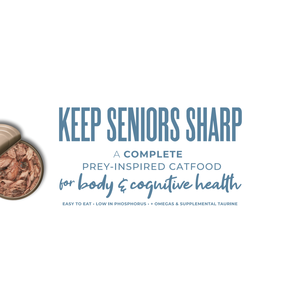 Mousse pour chat senior Schesir Silver Range Velvet - Nourriture humide pour chat en conserve dans du bouillon (boîte de 70g) Poulet avec canard - Product Image 2