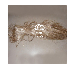 OFFRE LIMITÉE Fibre de banane Safe Clean Eco 2026 Matière végétale pure Idéale pour le tissage textile et la fabrication de cordes Prix direct usine - Product Image 1