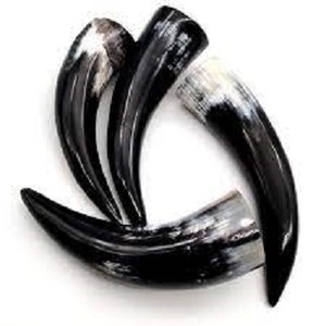 Soporte para Cuerno de Cerveza/Vino de la Mejor Calidad, Ecológico, de Latón, Hecho a Mano, Pulido, Estilo Vikingo, para el Hogar - Product Image 4