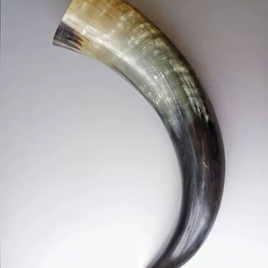 Polished Eco-Friendly American Style <b>Trophy</b> Horn - Product Image 1