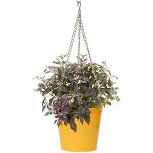 Colorful Metal Hanging Planters Set of 3 with Curved <b>Hooks</b> for Gardening Durable Painted Finish - Product Image 5
