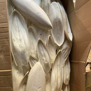 Bloque de Calcio, Hueso de Sepia de 2/4 Pulgadas, Trozos de Hueso de Sepia, Fabricante y Proveedor para Animales Pequeños 26 - Product Image 4