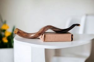 1. Shofar naturel en corne de bélier, trompette artisanale traditionnelle, instrument pour les cérémonies religieuses juives, le culte et les festivals - Product Image 5