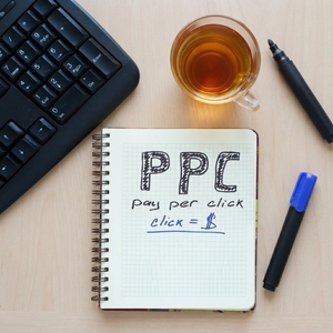 Services professionnels avancés de maintenance et de gestion de la publicité par mots-clés (PPC) KWA pour les boutiques en ligne - Product Image 2