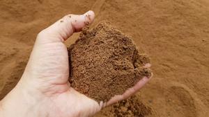 Harina de Nuez de Palma Orgánica 2026 Rica en Fibra y Proteínas |   Ideal para Alimentación Animal |   Cantidades al por mayor listas para exportación y calidad garantizada - Product Image 2