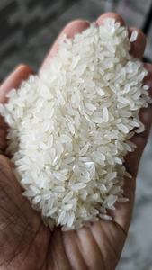 Riz égyptien Double poli Grain moyen Camolino Vietnam Sud Mékong Usine exportation en gros Mme Eira - Product Image 3