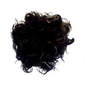 Cepillo para Zapatos de Pelo de Caballo Negro Natural, Material Ecológico, No Soluble en Agua, Alta Calidad, 3 Años de Duración - Product Image 1