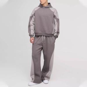 Survêtement décontracté à capuche imprimé uni, grande taille, tendance, écologique, 100 % coton, confortable, prix abordable - Product Image 1