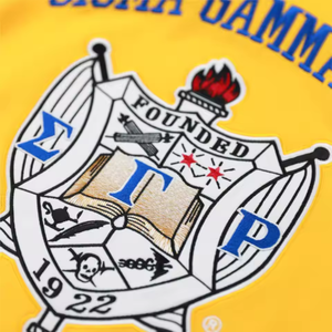 Camiseta de Fútbol SGR, 100% Poliéster, Transpirable, de Secado Rápido, para Verano, con Logotipo del Equipo Bordado en la Parte Delantera y Trasera, Cuello en V, Manga Corta - Product Image 5