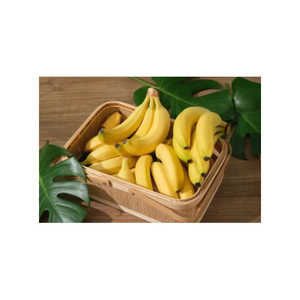 กล้วยสดเกรดพรีเมียม สำหรับขายส่ง จำหน่ายปลีก ส่งออก และตลาดค้าปลีก - Product Image 1