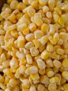 Vietnam High Grade Frozen <strong>Sweet</strong> <strong>Corn</strong> <strong>Kernels</strong> IQF Bulk Wholesale - Product Image 1