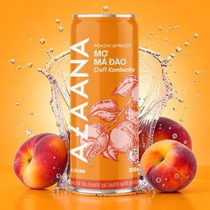 Bebida de Kombucha Artesanal de Durazno y Albaricoque OEM, Bebida de Té Fermentado Dulce, Lista para Beber, Bebida Probiótica al por Mayor - Product Image 1