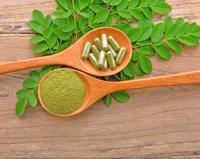 Capsules d'extrait de feuille de Moringa, supplément à base de plantes sans solvant, poudre verte naturelle, qualité alimentaire, Maharashtra, pour toutes les saisons