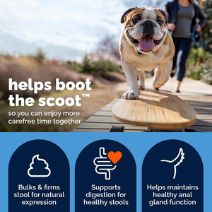 Boot the Scoot Anal Gland Soft Chews for Dogs Peanut Butter & Chicken Flavors Grain-Free with Pumpkin Seed for Digestive Health - Product Image 5