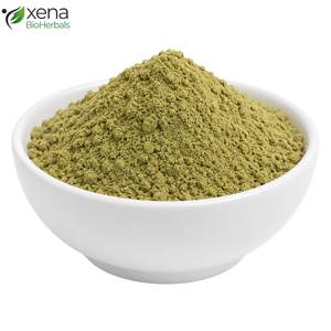 Fabricante de Extracto Herbal de Alta Pureza, Polvo de Eclipta Alba, Ingrediente Botánico Natural para el Cuidado del Cabello y Formulaciones de Bienestar - Product Image 1