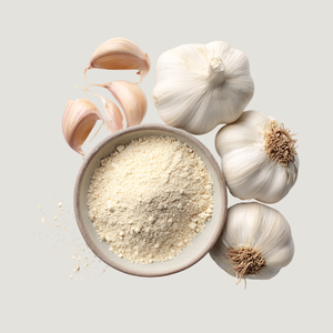 Poudre d'extrait d'ail de qualité supérieure, conçue pour les fabricants d'aliments, les marques d'assaisonnements et les applications culinaires à grande échelle - Product Image 4