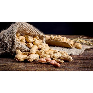 Nueces Crujientes, Snacks de Cacahuetes Tostados Recubiertos de Harina, Venta al por Mayor, Embalaje Refrigerado para Almacenamiento OEM - Product Image 2