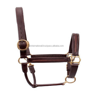 Collier de licou en cuir réglable, chaîne vide sur mesure avec couture solide, boucle et anneau de finition en laiton massif - Product Image 2