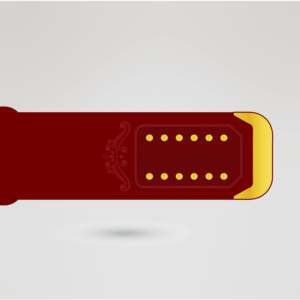 Ceinture de championnat poids lourd KAOS, quatre plaques latérales, métal doré, sangle rouge, plaque centrale personnalisable, équipement de lutte - Product Image 6