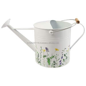 Arrosoir antirouille pour la maison et le jardinage extérieur avec corps en métal galvanisé traditionnel et grande poignée - Product Image 1