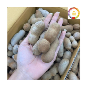 Pulpa de Tamarindo Deshuesada y Limpia, Sabor Natural para Exportación, Fabricante a Granel - Product Image 1