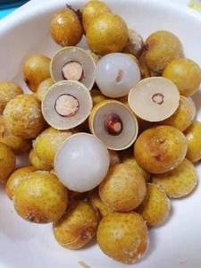 Pulpe de longane congelée IQF du Vietnam, longane sans noyau, vente en gros - Product Image 4