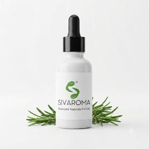 Huile de romarin de haute pureté pour les besoins de fabrication de produits cosmétiques, de soins personnels, de soins capillaires, de parfums et de produits de beauté B2B - Product Image 6