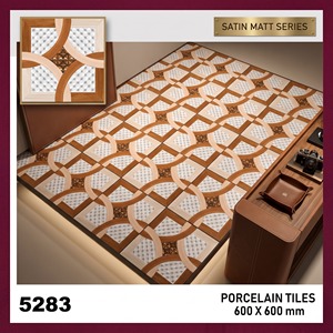 Carreaux en porcelaine 20 mm 600x600 mm mats résistants aux acides pour revêtements de sol extérieurs résidentiels et commerciaux - Product Image 2