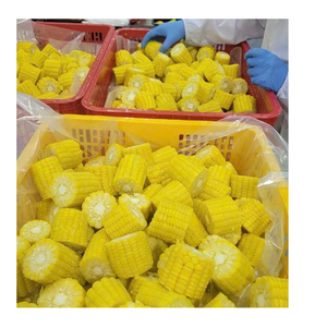 Producto Vegetal de Maíz Congelado Premium para Importadores, Mayoristas y Distribuidores - Product Image 6