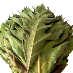 Feuilles de saké séchées en gros, fabricant de feuilles de saké séchées, feuilles de fruit à pain croustillantes séchées ANGLE - Product Image 1