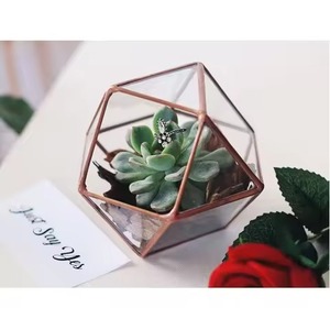 Trend Display Metal Terrarium Glass Planter Elegant Indoor Plant Case Stylish Home Decor - Product Image 2