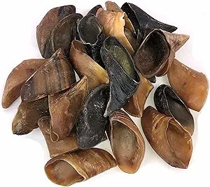 Cuernos de Búfalo Naturales de Primera Calidad para Manualidades, Tallado, Proyectos de Bricolaje, Estilo Rústico Moderno, Tacto Real - Product Image 3