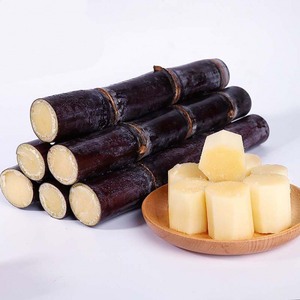 Caña de azúcar congelada para bebidas y postres | 100% Caña de azúcar natural al por mayor de Vietnam - Product Image 2