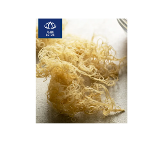 MORUE DE MER SÉCHÉE DE QUALITÉ SUPÉRIEURE, SÛRE, PROPRE ET ÉCOLOGIQUE, PURE, IDÉALE POUR LA CUISSON DES SOUPES ET LES SOINS DE LA PEAU, FOURNISSEUR DIRECT - Product Image 1