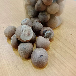 NUEZ MUGUETA DE CALIDAD PREMIUM AB - Product Image 1