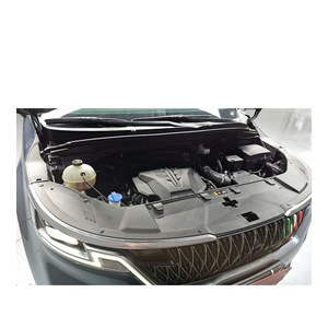 Para Kia Carnival Signature de 9 Plazas, Gasolina, Modelo Julio 2021, 147.877 km, Volante a la Izquierda, Caja de Cambios Automática, Emisión Euro V, Cuero - Product Image 6