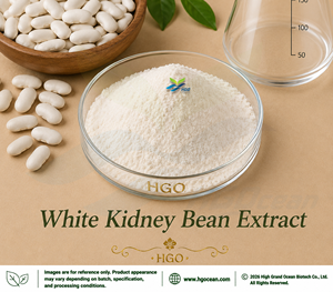 HGO Factory Direct Supply White Kidney Bean Extract (Phaseolus vulgaris L.) (Food Grade) Ratio 4:1 5:1 10:1 20:1 100:1 200:1 - Product Image 1